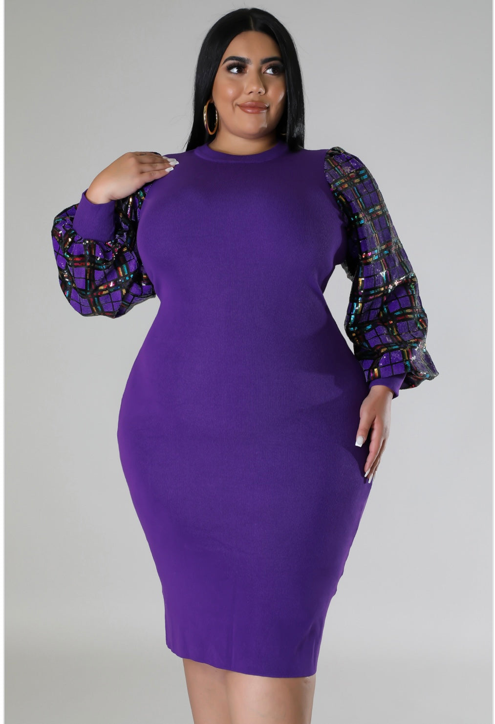 Raelynn Sequins Sleeve Dress (curvy)